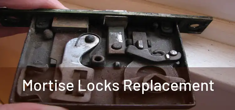 Mortise Locks Replacement